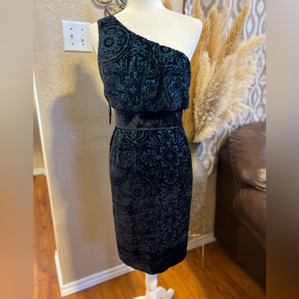 Monsoon velvet silk blend one shoulder dress